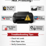 chatgpt image mar 12, 2026, 11 20 33 am