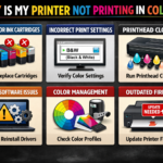 chatgpt image mar 9, 2026, 12 41 33 pm